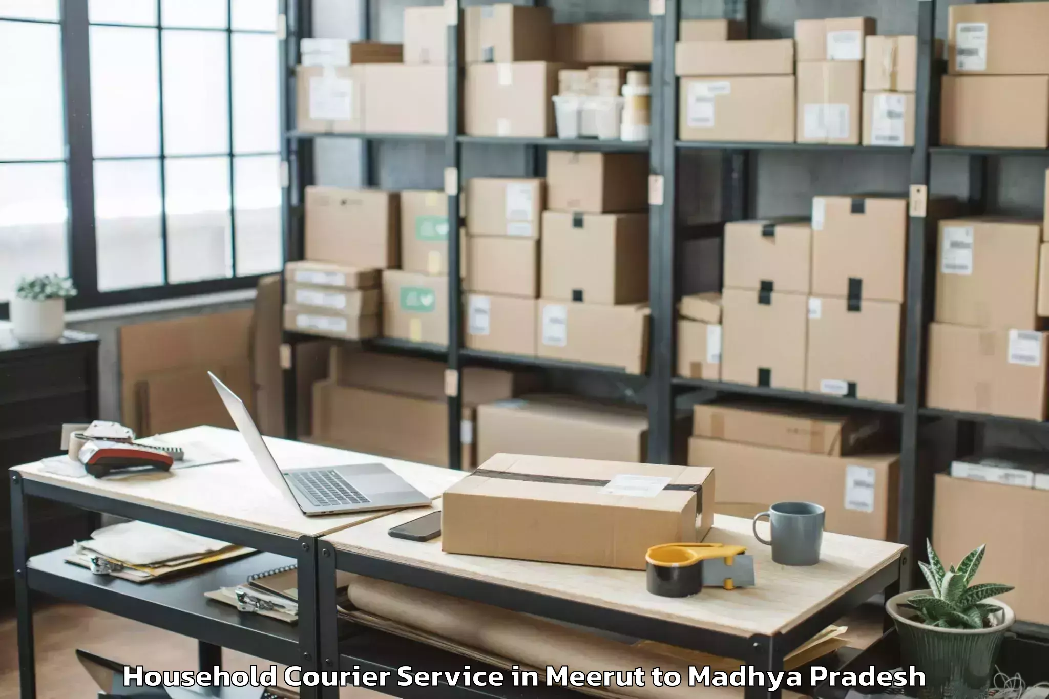 Top Meerut to Bada Malhera Household Courier Available